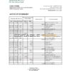 Chad Ecobank bank statement Excel and PDF template, completely editable (AutoSum)