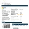 Chile Energy Capital utility bill template in Word and PDF format