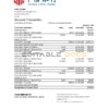 China Citic Bank Corp bank statement easy to fill template in Excel and PDF format