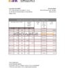 China Everbright Bank statement .xls and .pdf template, completely editable (AutoSum)