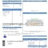 USA Texas City of Laredo Utilities Department water utility bill template in Word and PDF format