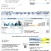 USA Iowa Clarke Electric Cooperative, Inc utility bill template in Word and PDF format