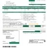 USA Coles – Moultrie utility bill template in Word and PDF format