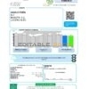 Colombia ENEL energy utility bill template in Word and PDF format