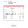 Congo Afriland First Bank statement Excel and PDF template (AutoSum)