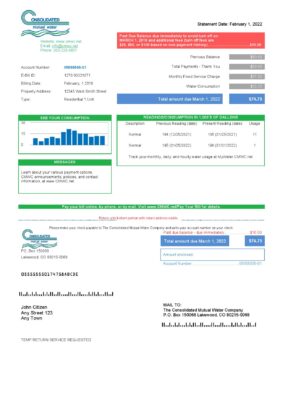USA Consolidated Mutual Water utility bill template in Word and PDF format
