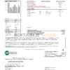 USA Craighead Electric utility bill template in Word and PDF format