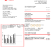 Czechia Veolia Energy Czech Republic energy utility bill template in Word and PDF format