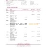 Denmark Arbejdernes Landsbank bank statement easy to fill template in Excel and PDF format