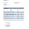 Denmark Danskebank bank statement easy to fill template in Excel and PDF format