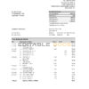 Denmark Sydbank statement Excel and PDF template