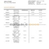 Djibouti Central Bank of Djibouti bank statement template in Word and PDF format