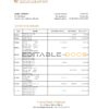 Djibouti Central Bank of Djibouti statement Excel and PDF template