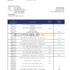 Djibouti Exim bank statement template in Word and PDF format
