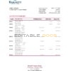 Dominica Barnett Capital Bank statement Excel and PDF template
