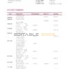 Dominica Barnett Capital bank statement template in Word and PDF format