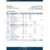 Dominican Republic Banco Vimenca bank statement Excel and PDF template