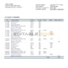 Dominican Republic Banco Vimenca proof of address bank statement template in Word and PDF format