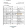Dominican Republic Bid bank statement Excel and PDF template