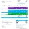 USA EID utility bill template in Word and PDF format