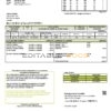 Ecuador Energysource Ecuador energy utility bill template in Word and PDF format