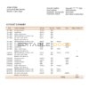 Egypt Alex Bank of Egypt proof of address bank statement template in Word and PDF format