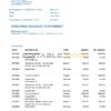 Egypt Aspiration bank statement, Word and PDF template, 4 pages