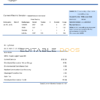 Egypt Egyptian Electricity utility bill template in Word and PDF format