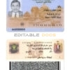 Egypt ID template in PSD format, fully editable