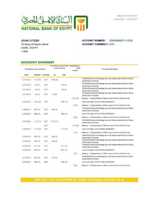 Egypt National Bank of Egypt bank statement easy to fill template in Excel and PDF format
