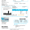 Egypt Water Products Company Egypt (Wapco) utility bill template in Word and PDF format