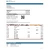 Equatorial Guinea BGFI Bank Statement Excel and PDF template