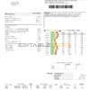 USA Ontario Erie Thames utility bill template in Word and PDF format