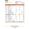 Eritrea Housing and Commerce bank statement Excel and PDF template