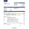 Ethiopia Dashen Bank statement Excel and PDF template