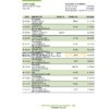 Fiji Bank of South Pacific bank statement Excel and PDF template