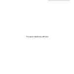 France BNP bank statement Word and PDF template, 4 pages