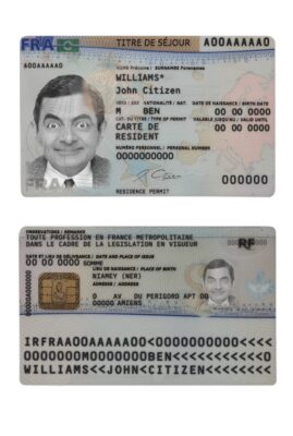 France residence permit (titre de séjour) template in PSD format, fully editable, with all fonts (2019 – present)