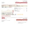 USA Texas GVEC utility bill template in Word and PDF format