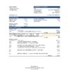 Gabon Alios Finance bank statement Excel and PDF template