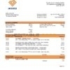 Gambia Access bank statement template in Word and PDF format