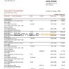 Georgia Liberty Bank proof of address statement template in Word and PDF format, fully editable