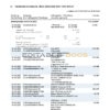 Germany 1822direkt bank statement, Word and PDF template