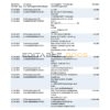 Germany 1822direkt bank statement, Word and PDF template