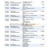 Germany 1822direkt bank statement, Word and PDF template