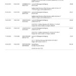 Germany Consorsbank bank statement, Word and PDF template, 2 pages