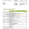 Germany Fidor bank statement, Word and PDF template