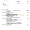 Germany Freisinger Bank eG bank statement, Word and PDF template, 2 pages
