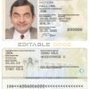 Germany ID template in PSD format, fully editable, with all fonts (2021 – present)
