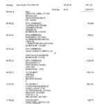 Germany Oldenburgische bank statement, Word and PDF template, 3 pages